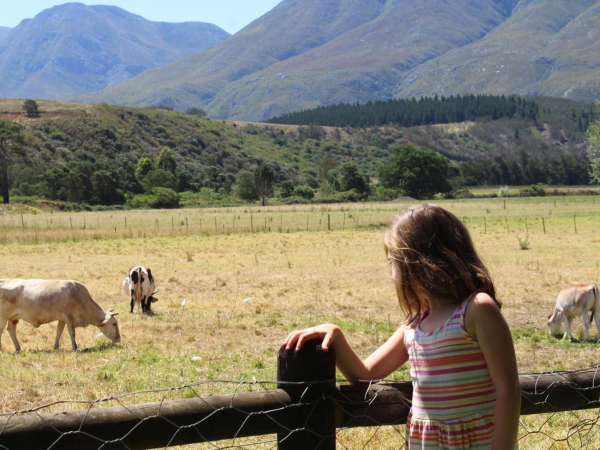 Arumvale Country Retreat Swellendam Kültér fotó