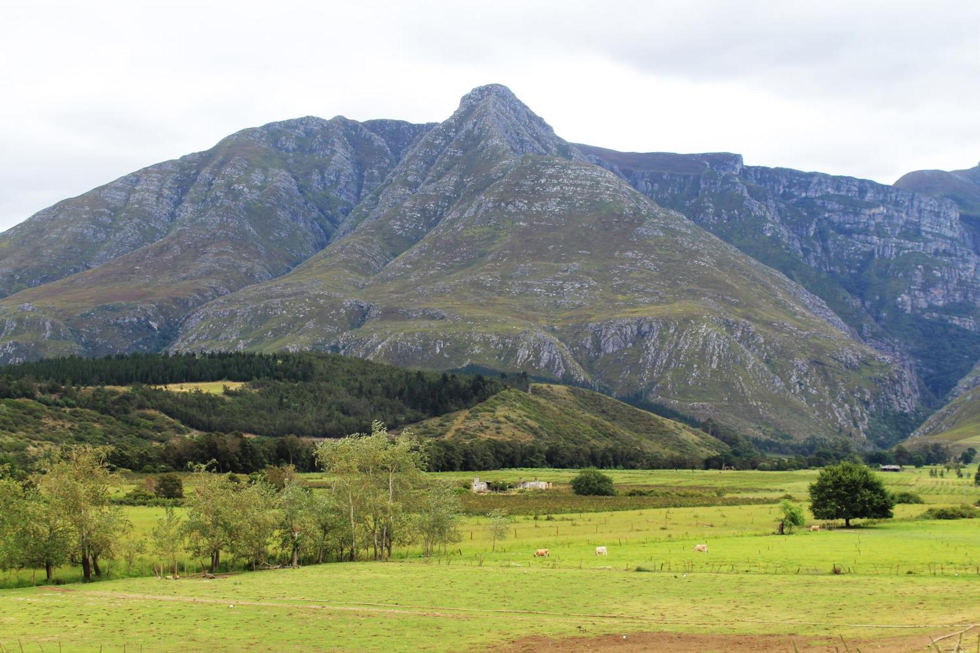 Arumvale Country Retreat Swellendam Kültér fotó